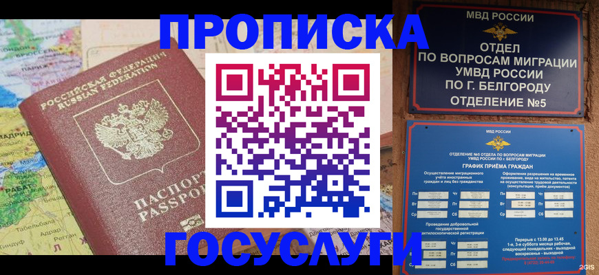 прописка регистрация в Дмитрове